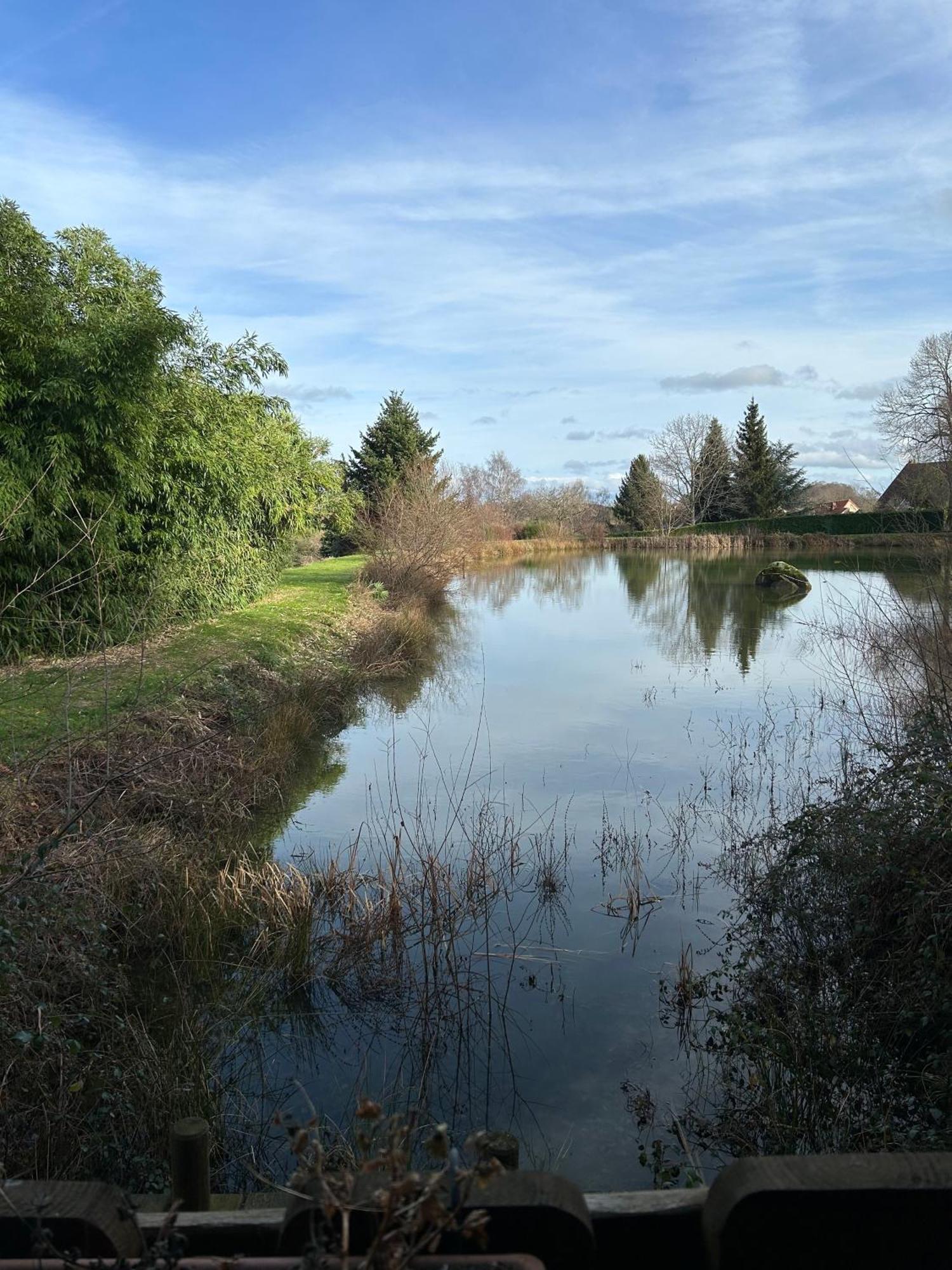Le Domaine De La Vergnolle Roches  Eksteriør billede