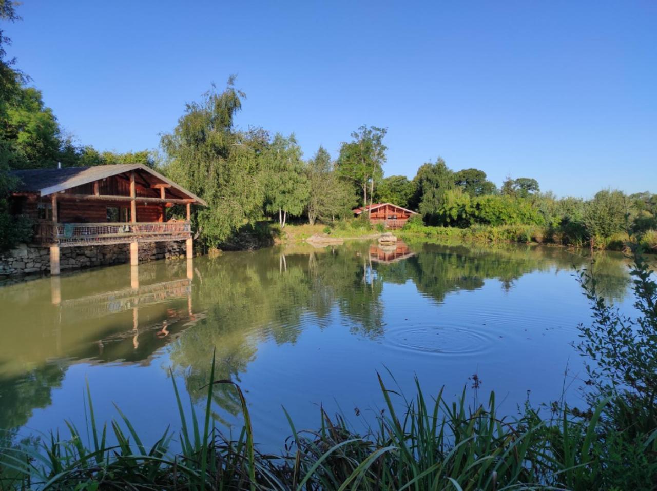 Le Domaine De La Vergnolle Roches  Eksteriør billede