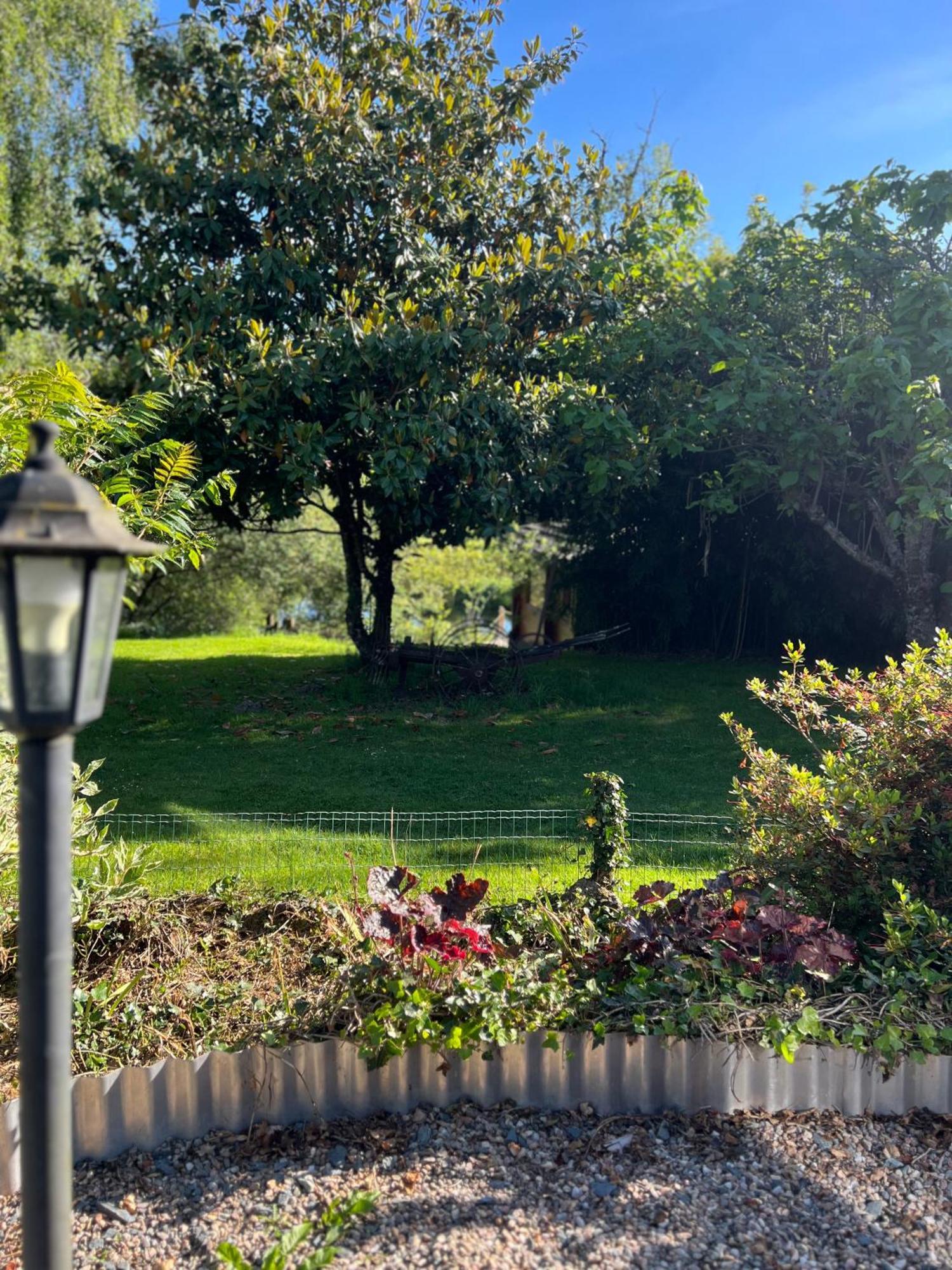 Le Domaine De La Vergnolle Roches  Eksteriør billede