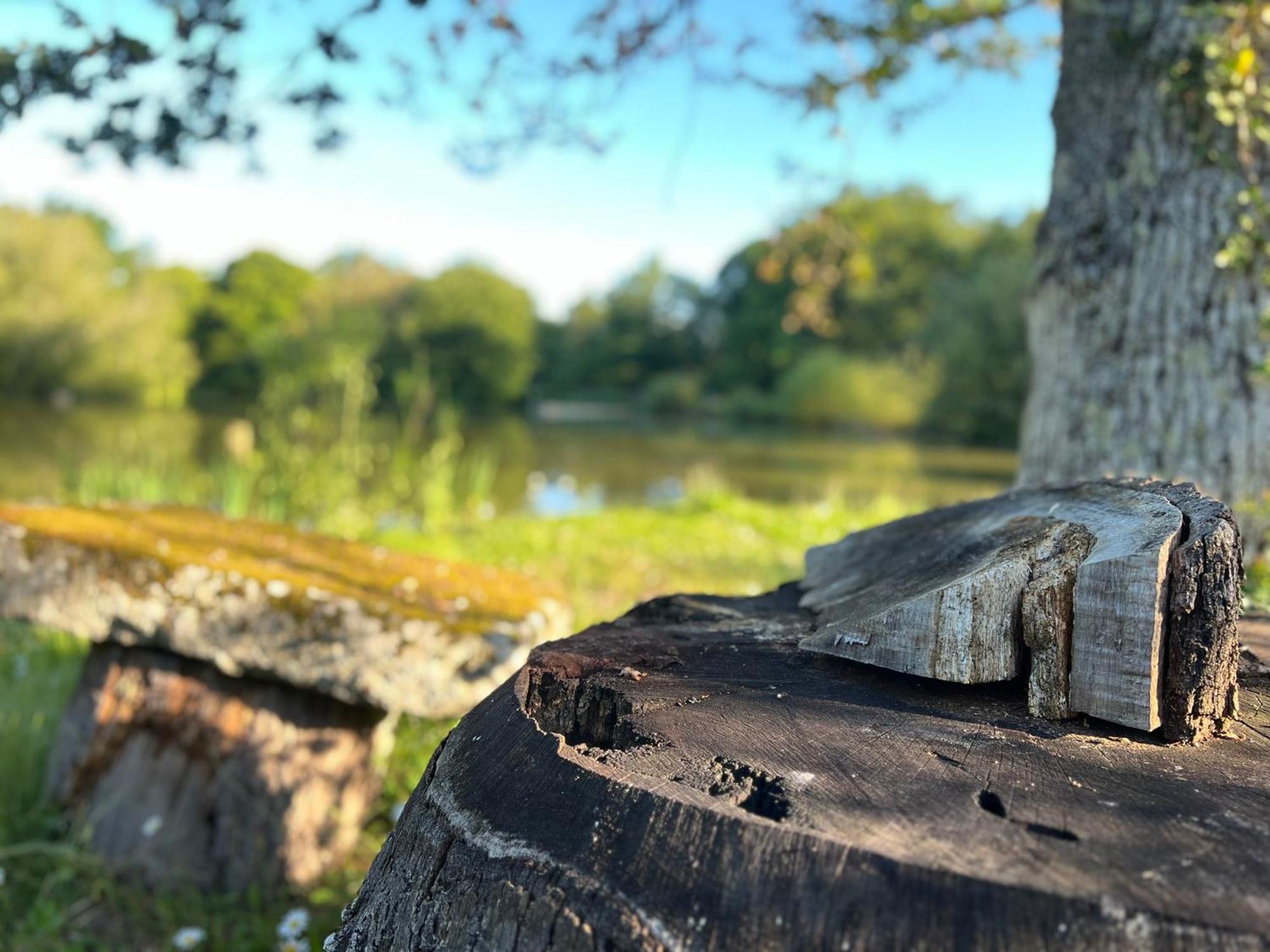 Le Domaine De La Vergnolle Roches  Eksteriør billede