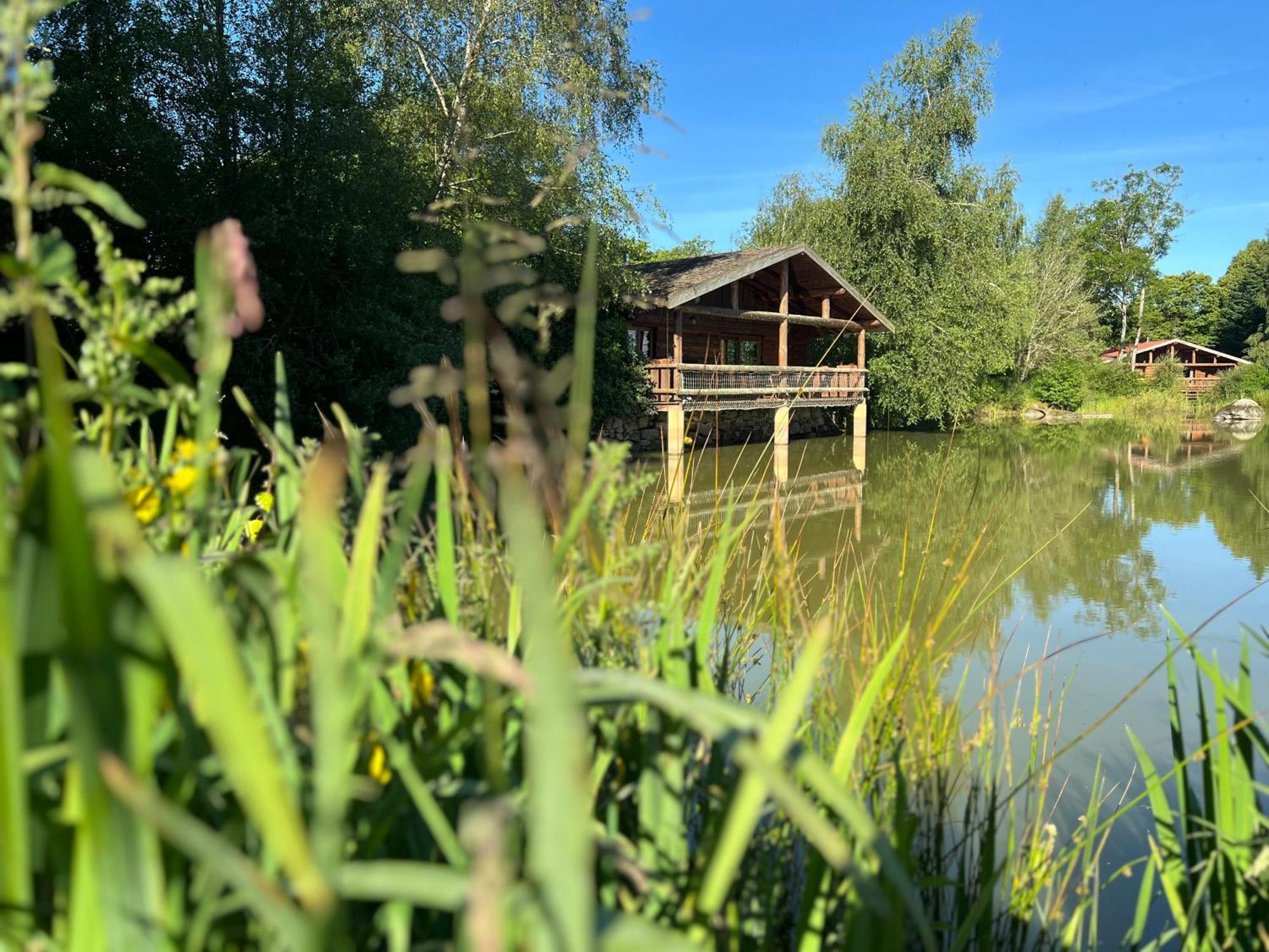 Le Domaine De La Vergnolle Roches  Eksteriør billede
