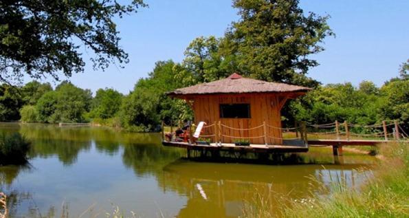 Le Domaine De La Vergnolle Roches  Eksteriør billede