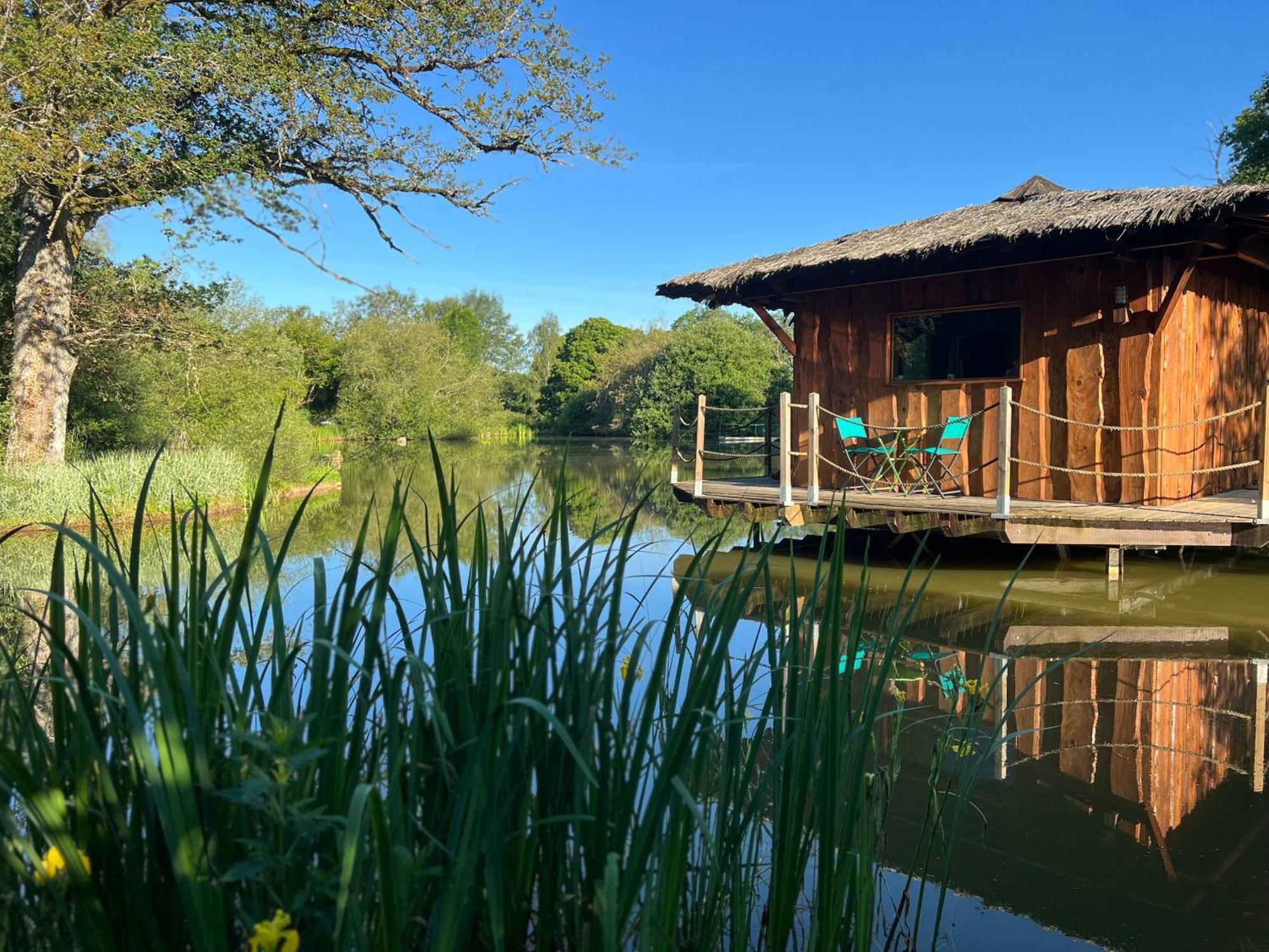 Le Domaine De La Vergnolle Roches  Eksteriør billede